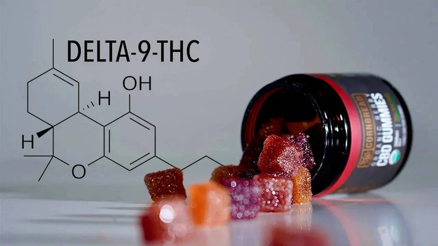 The Sweetest High: Unveiling the Best Delta-9 Gummies on the Market